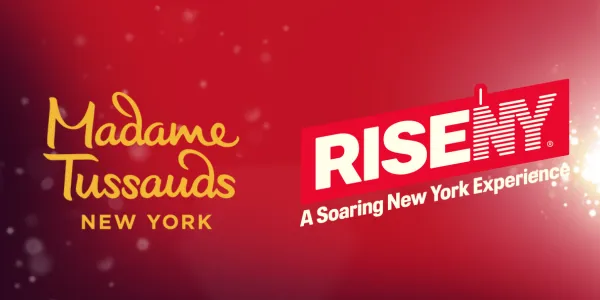 MT X Rise Web