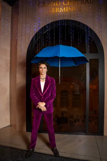 Timothee chalamet under an umbrella